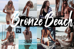 Download 5 Bronze Beach Desktop Lightroom Presets - Desktop Collection