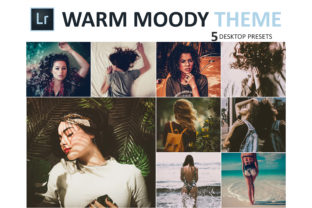 Download Neo Warm Moody Desktop Lightroom Presets - Desktop Collection
